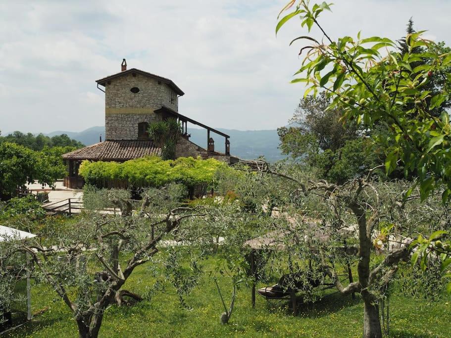 Villa De Luccheri Frasso Telesino Extérieur photo