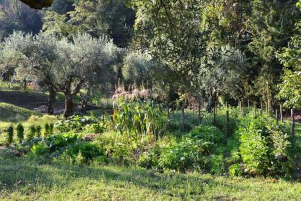 Villa De Luccheri Frasso Telesino Extérieur photo