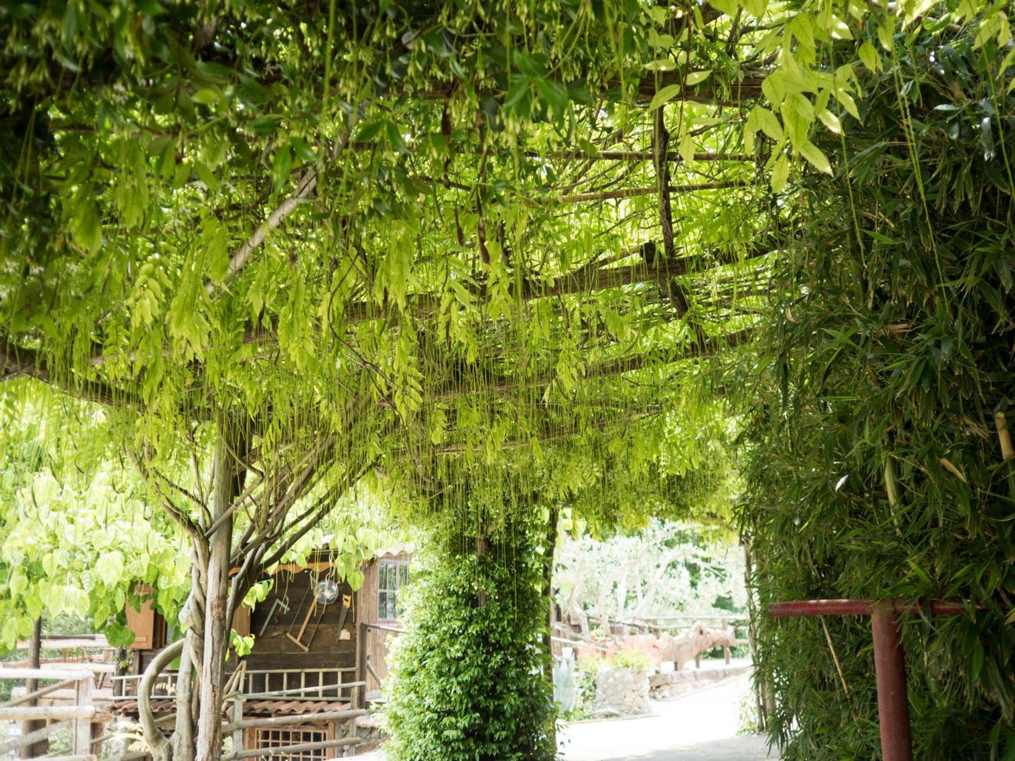 Villa De Luccheri Frasso Telesino Extérieur photo