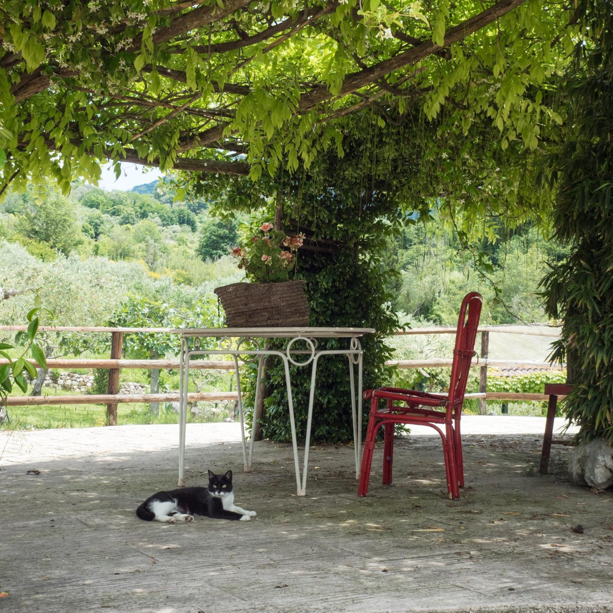 Villa De Luccheri Frasso Telesino Extérieur photo